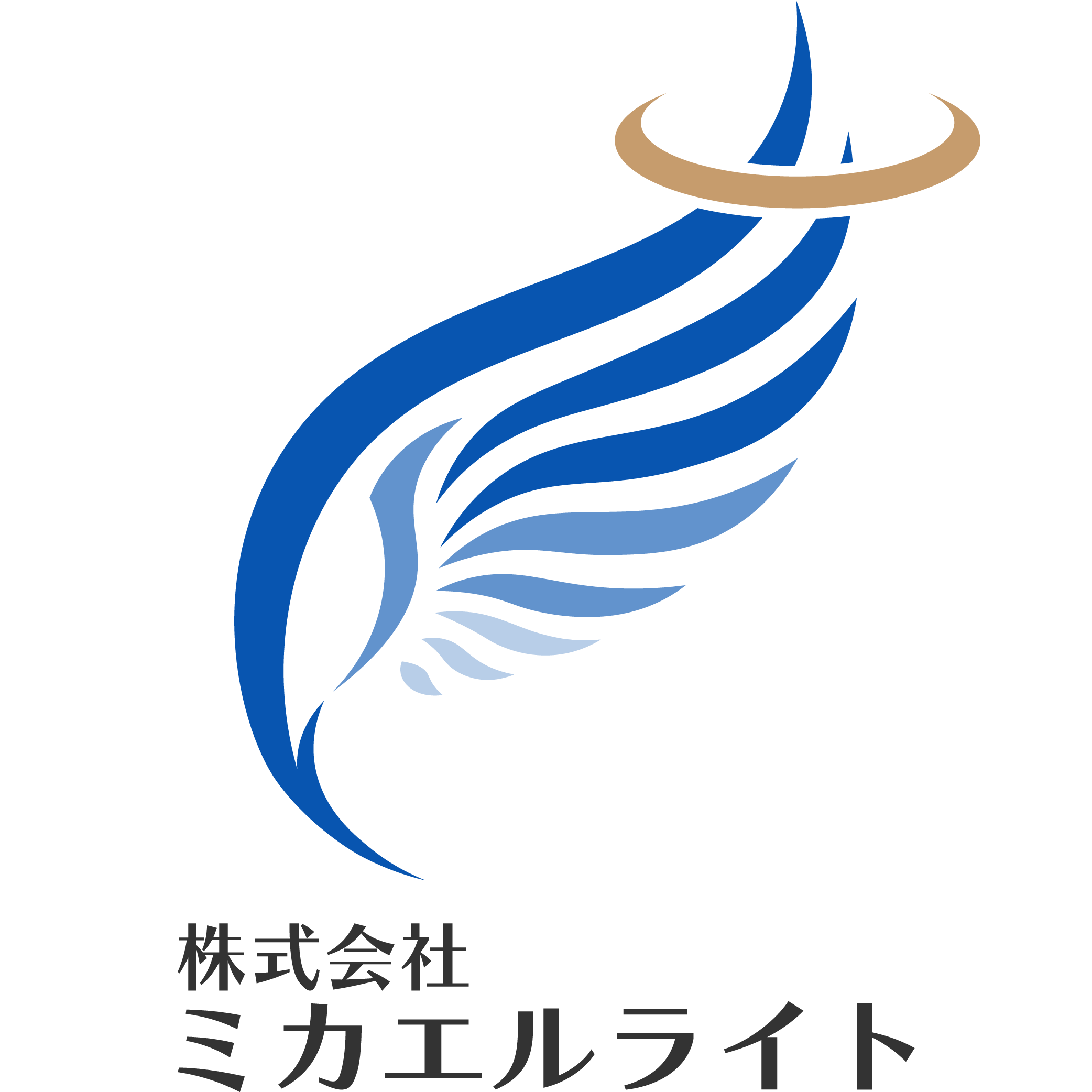 株式会社ミカエルライト